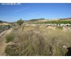 TERRENO LA ROMANA