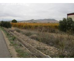 TERRENO CON NAVE Y CASA