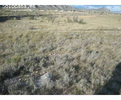 SE VENDE TERRENO EN HONDON DE LAS NIEVES