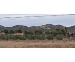 SE VENDE PARCELA EN ASPE