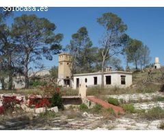 SE VENDE FINCA RÚSTICA EN MONFORTE DEL CID