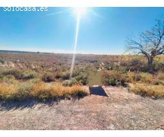 SE VENDE TERRENO EN ELCHE