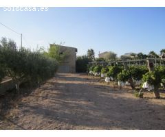 SE VENDE TERRENO EN NOVELDA