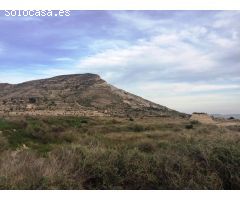 SE VENDE TERRENO EN NOVELDA