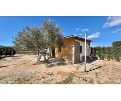 SE VENDE PARCELA EN ASPE