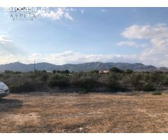 TERRENO EN CREVILLENTE
