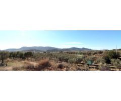 TERRENO EN HONDON DE LAS NIEVES
