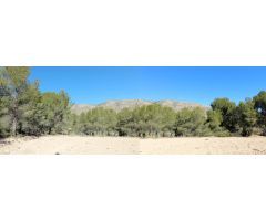 TERRENO EN HONDON DE LAS NIEVES
