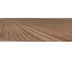 Terreno en Aspe