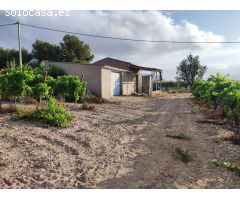 Terreno en Novelda con Casa de Aperos