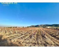 Terreno rural en Venta en La Romana, Alicante