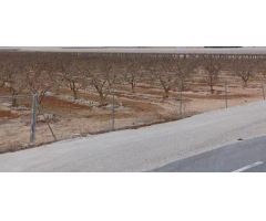 Finca con Nave en Aspe