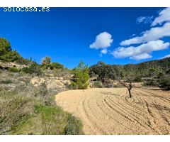 Finca en Monóvar
