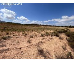 Terreno Jumilla zona Paraje Chamaleta