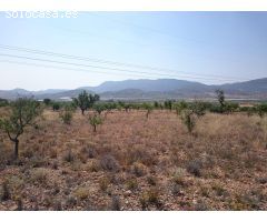 Terreno de 10.000 m² en Plena Naturaleza
