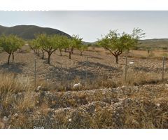 Parcela en barbarroja