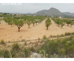 Terreno en Barbarroja