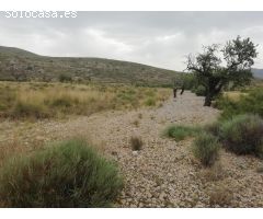Terreno en Hondón de los Frailes