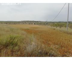 Terreno en La umbria