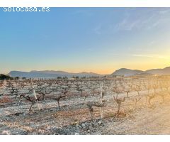 Terreno rural en Venta en Novelda, Alicante