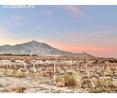 Terreno rural en Venta en La Romana, Alicante