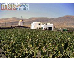 Terreno urbano en Venta en Costa Teguise, Las Palmas