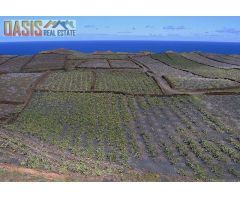 Terreno rural en Venta en Costa Teguise, Las Palmas