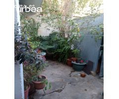 CASA MATA EN BUEN ESTADO