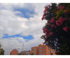Piso en venta en el corazón de Algete
