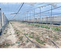 FINCA RÚSTICA EN AV. ROTA