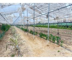 FINCA RÚSTICA EN AV. ROTA