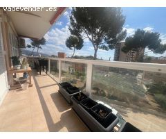 se alquia piso en Palma nova