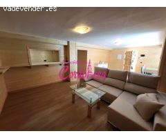 VENDER O ALQUILER DE LARGA TEMPORADA. MAGNIFICO CHALETS CON PISCINA EN ALCOLEA!!!