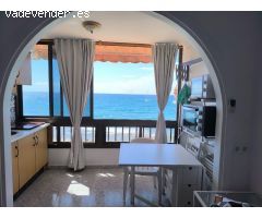 Estudio en primera linea de playa disponible por temporada corta