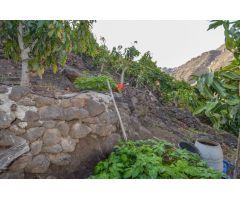 Finca rústica con árboles frutales en Cercados de Espino