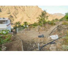 Finca rústica con árboles frutales en Cercados de Espino