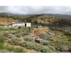 Terreno Rural en Arico