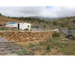 Terreno Rural en Arico