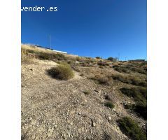 EL SOLAR PERFECTO PARA VIVIR EN ARMONÍA.