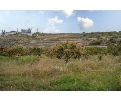 Finca con unas vistas de ensueño en Salobreña