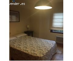 HORTALEZA MAGNÍFICO PISO EN ALQUILER