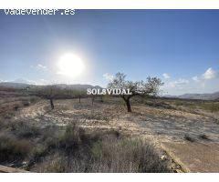 ???? Casa con Parcela de 25.000 m² en Torremendo – Oportunidad Única en Entorno Natural