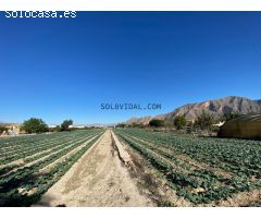 SOL8VIDAL VENDE CASA CON  6.000 m2 DE TERRENO - ESCORRATEL