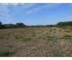 VENDO TERRENO URBANIZABLE DE 8000 m2, en MONTEAGUDO, (Navarra)