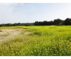 Casa, nave y parcela de 2.716 M2 a pocos metros de la carretera y de la A-49.