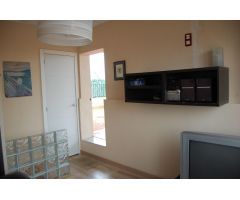 DUPLEX EN PINO MONTANO