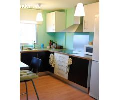 DUPLEX EN PINO MONTANO