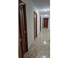 Piso en alquiler en Elche - Zona Centro