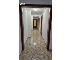 Piso en alquiler en Elche - Zona Centro