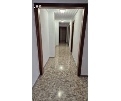Piso en alquiler en Elche - Zona Centro